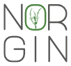 NORGIN Logo