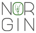 NORGIN Logo