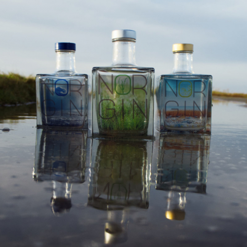 Gin